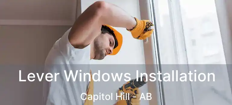  Lever Windows Installation Capitol Hill - AB