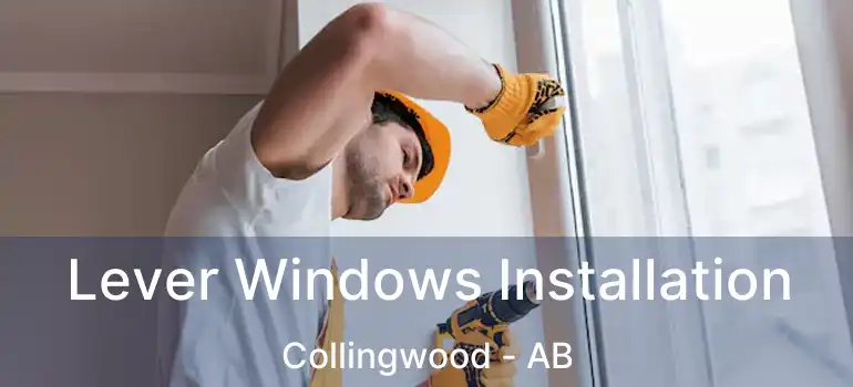  Lever Windows Installation Collingwood - AB