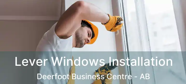  Lever Windows Installation Deerfoot Business Centre - AB