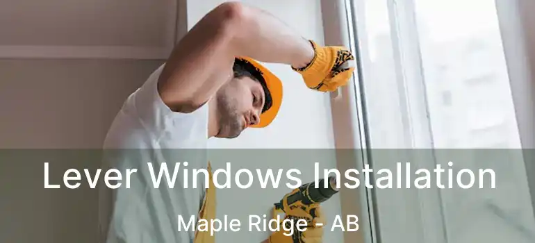  Lever Windows Installation Maple Ridge - AB