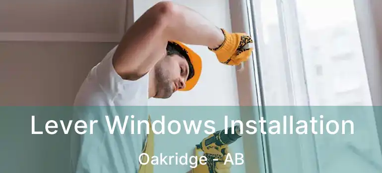  Lever Windows Installation Oakridge - AB