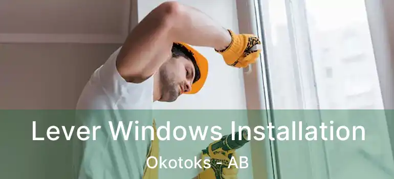  Lever Windows Installation Okotoks - AB
