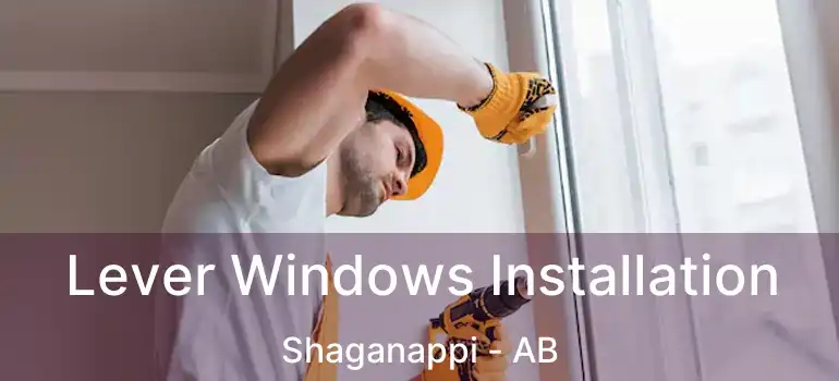  Lever Windows Installation Shaganappi - AB
