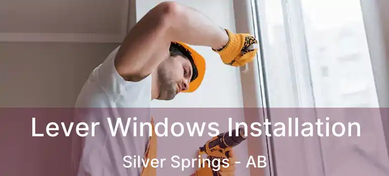  Lever Windows Installation Silver Springs - AB