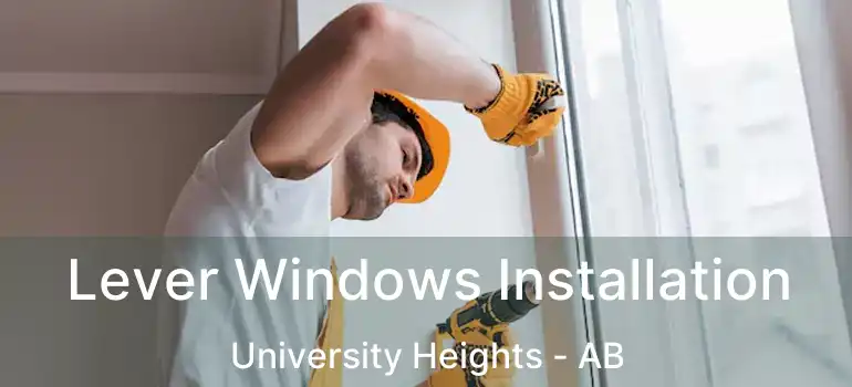  Lever Windows Installation University Heights - AB