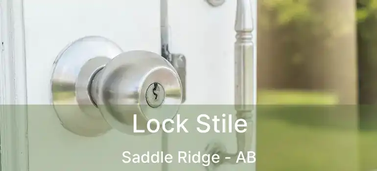  Lock Stile Saddle Ridge - AB