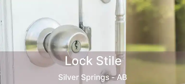  Lock Stile Silver Springs - AB