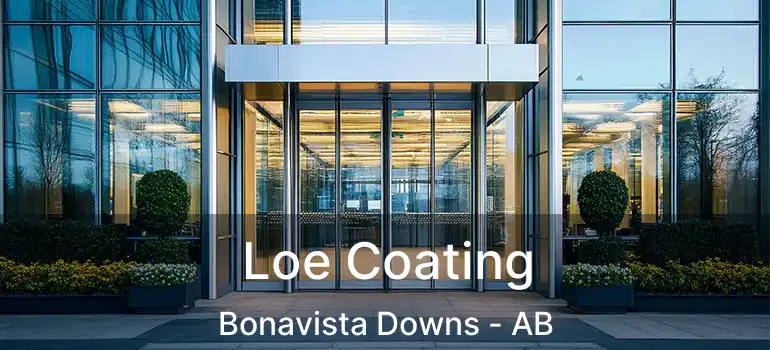  Loe Coating Bonavista Downs - AB