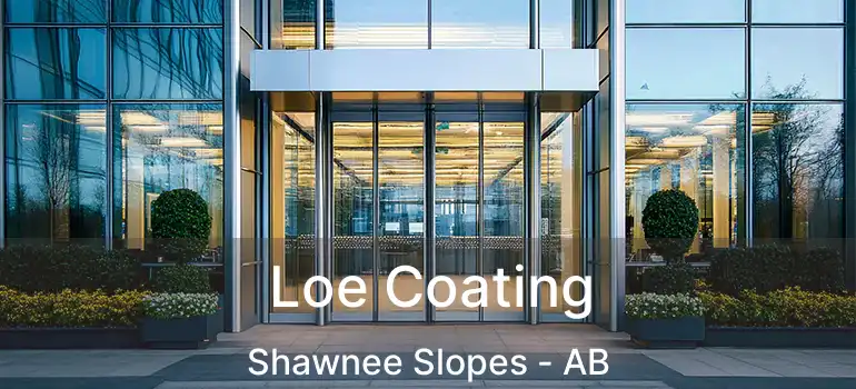  Loe Coating Shawnee Slopes - AB