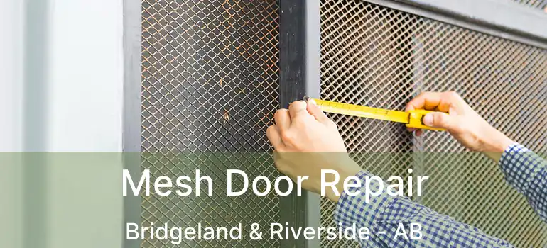  Mesh Door Repair Bridgeland & Riverside - AB