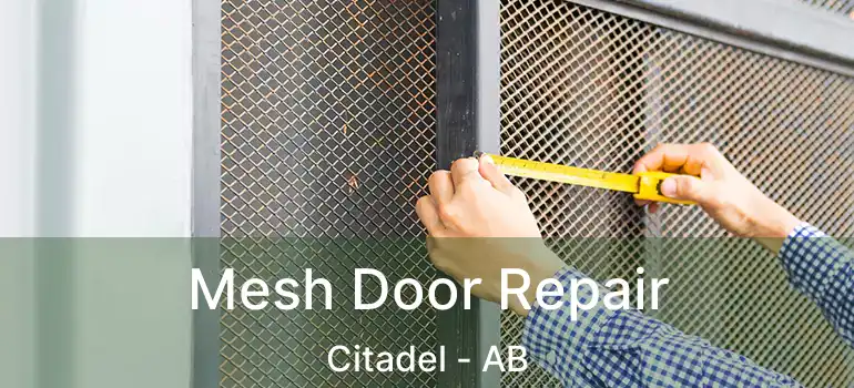  Mesh Door Repair Citadel - AB