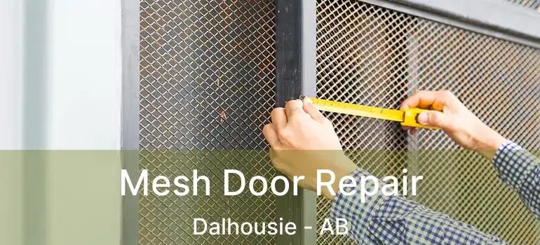  Mesh Door Repair Dalhousie - AB