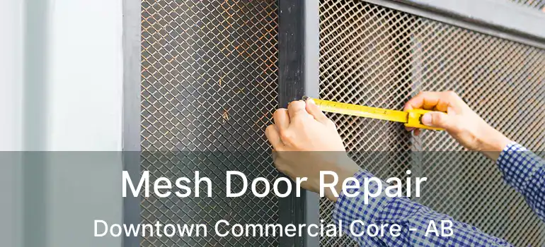  Mesh Door Repair Downtown Commercial Core - AB
