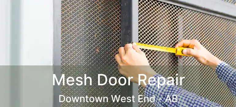  Mesh Door Repair Downtown West End - AB