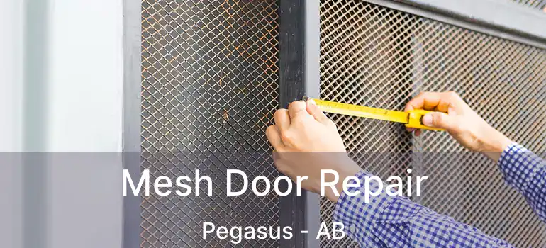  Mesh Door Repair Pegasus - AB