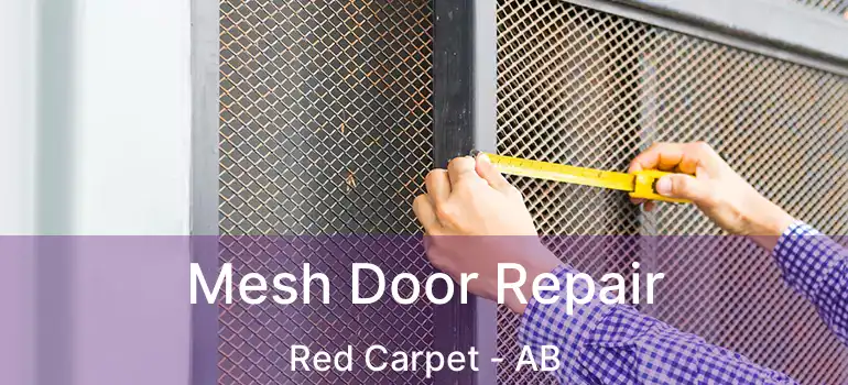  Mesh Door Repair Red Carpet - AB