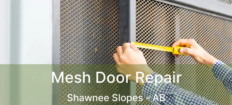  Mesh Door Repair Shawnee Slopes - AB