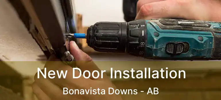  New Door Installation Bonavista Downs - AB
