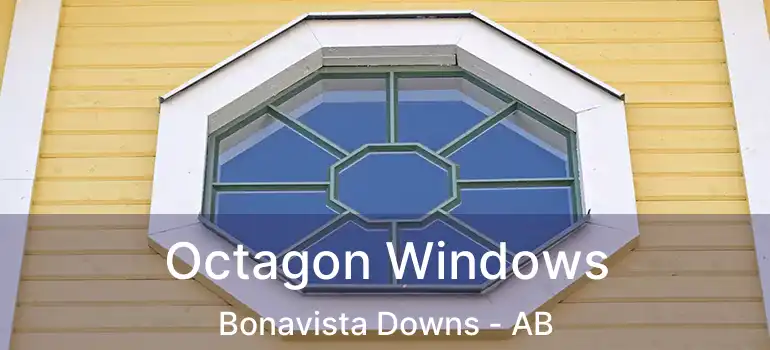 Octagon Windows Bonavista Downs - AB