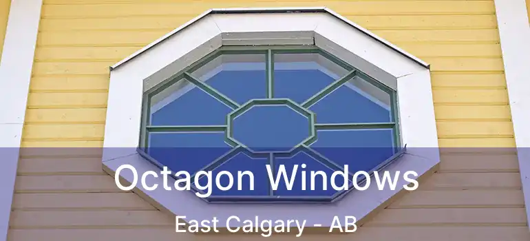  Octagon Windows East Calgary - AB