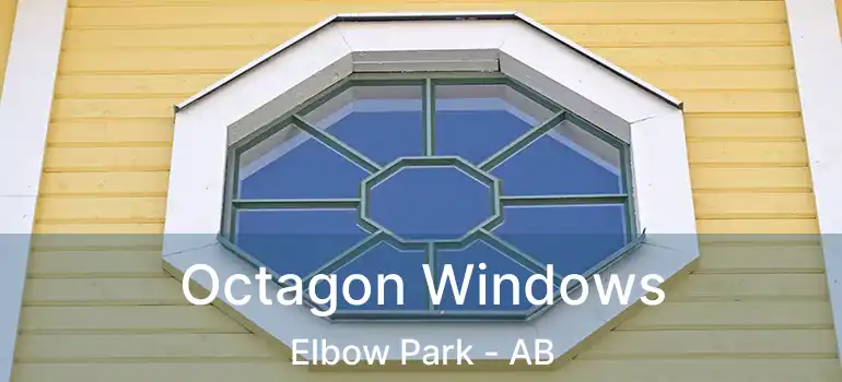 Octagon Windows Elbow Park - AB