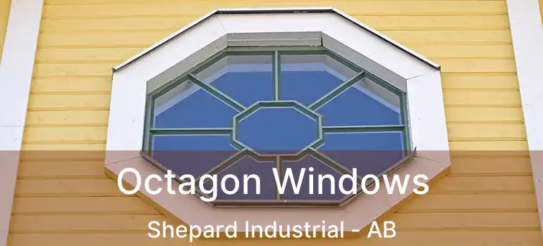  Octagon Windows Shepard Industrial - AB
