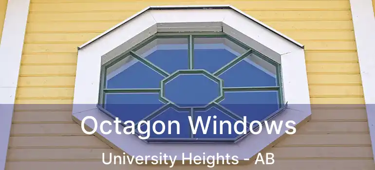  Octagon Windows University Heights - AB