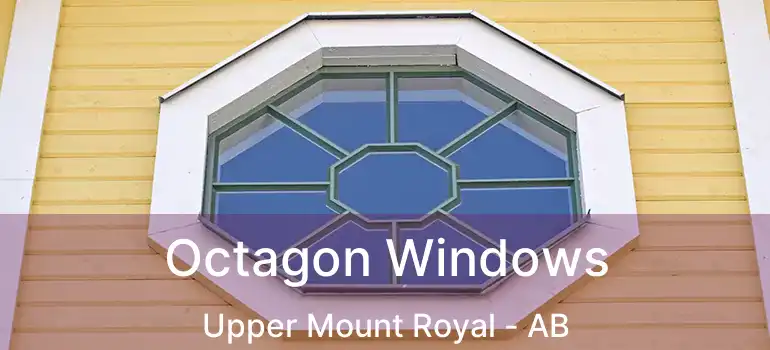  Octagon Windows Upper Mount Royal - AB