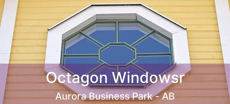  Octagon Windowsr Aurora Business Park - AB