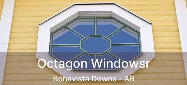  Octagon Windowsr Bonavista Downs - AB