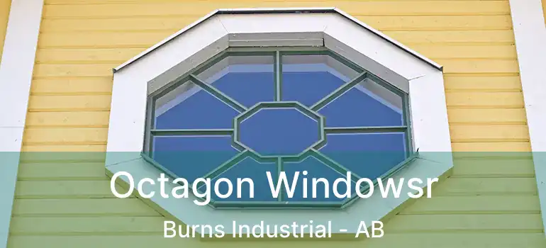  Octagon Windowsr Burns Industrial - AB