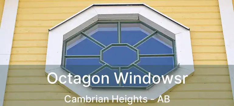  Octagon Windowsr Cambrian Heights - AB