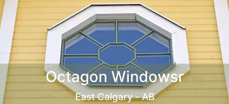  Octagon Windowsr East Calgary - AB