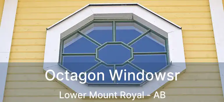  Octagon Windowsr Lower Mount Royal - AB