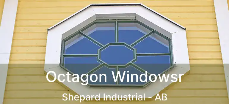  Octagon Windowsr Shepard Industrial - AB
