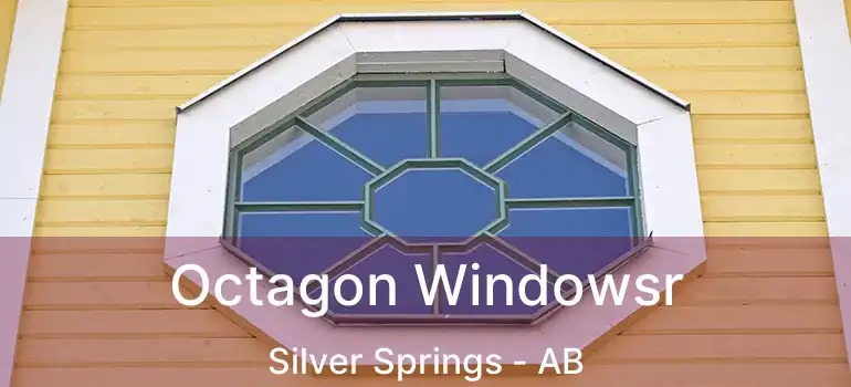  Octagon Windowsr Silver Springs - AB