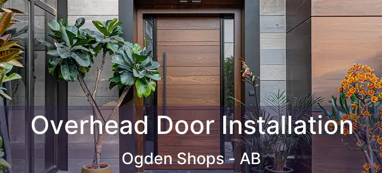  Overhead Door Installation Ogden Shops - AB
