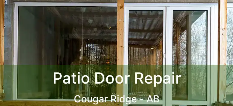  Patio Door Repair Cougar Ridge - AB