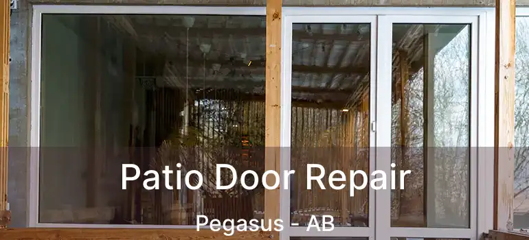  Patio Door Repair Pegasus - AB