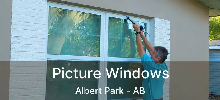  Picture Windows Albert Park - AB