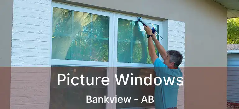  Picture Windows Bankview - AB