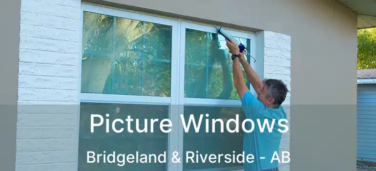  Picture Windows Bridgeland & Riverside - AB