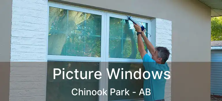  Picture Windows Chinook Park - AB