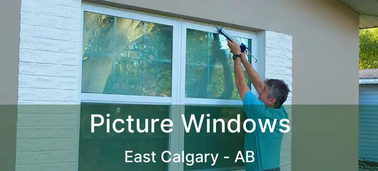  Picture Windows East Calgary - AB
