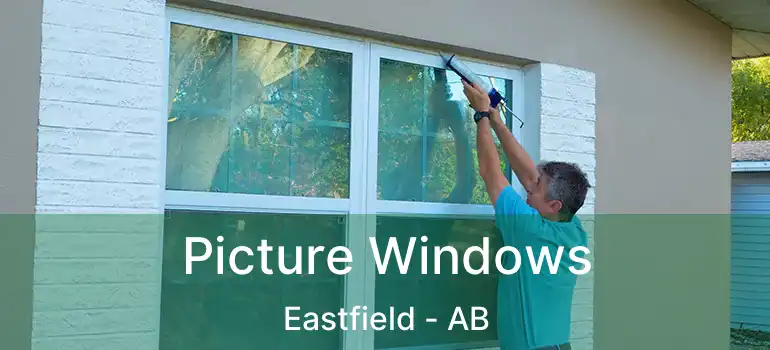 Picture Windows Eastfield - AB