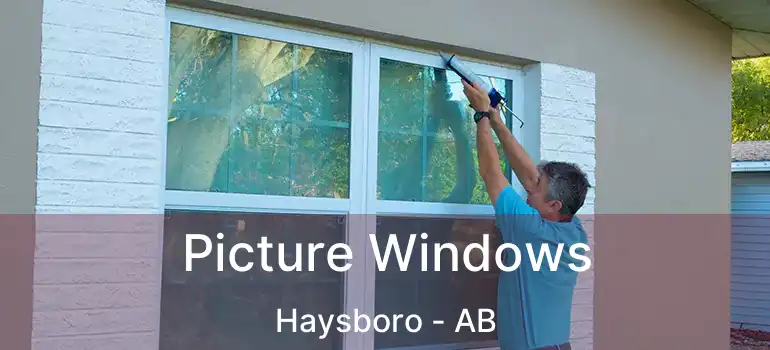  Picture Windows Haysboro - AB