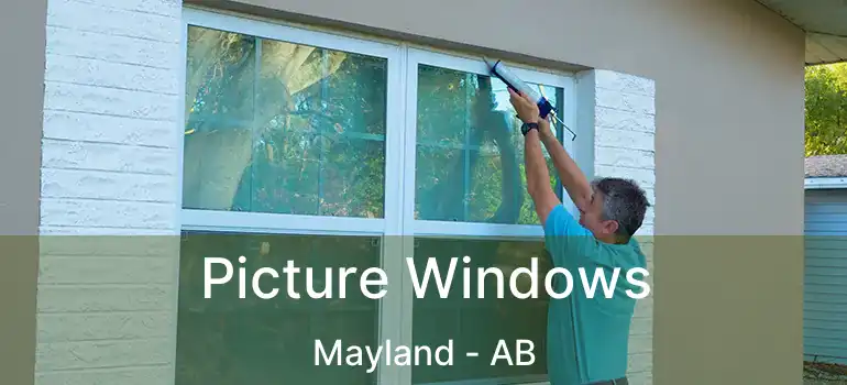  Picture Windows Mayland - AB