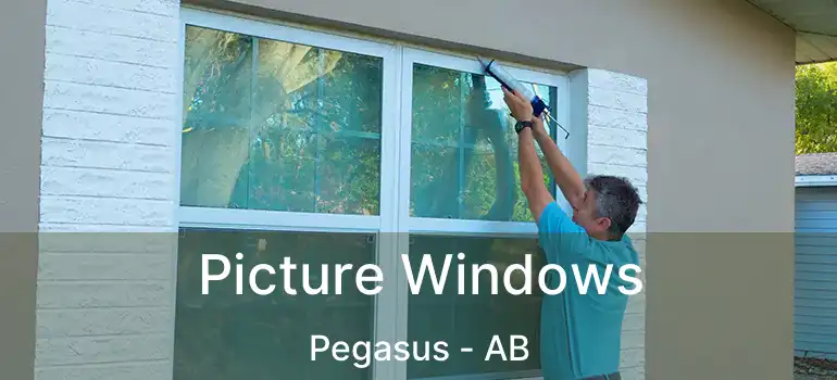  Picture Windows Pegasus - AB