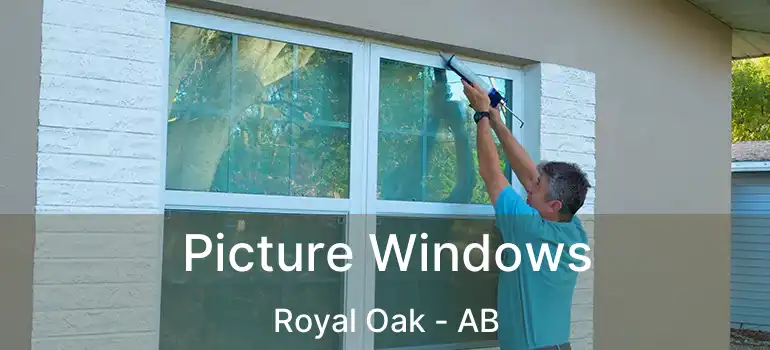 Picture Windows Royal Oak - AB