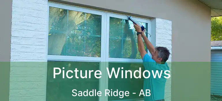  Picture Windows Saddle Ridge - AB